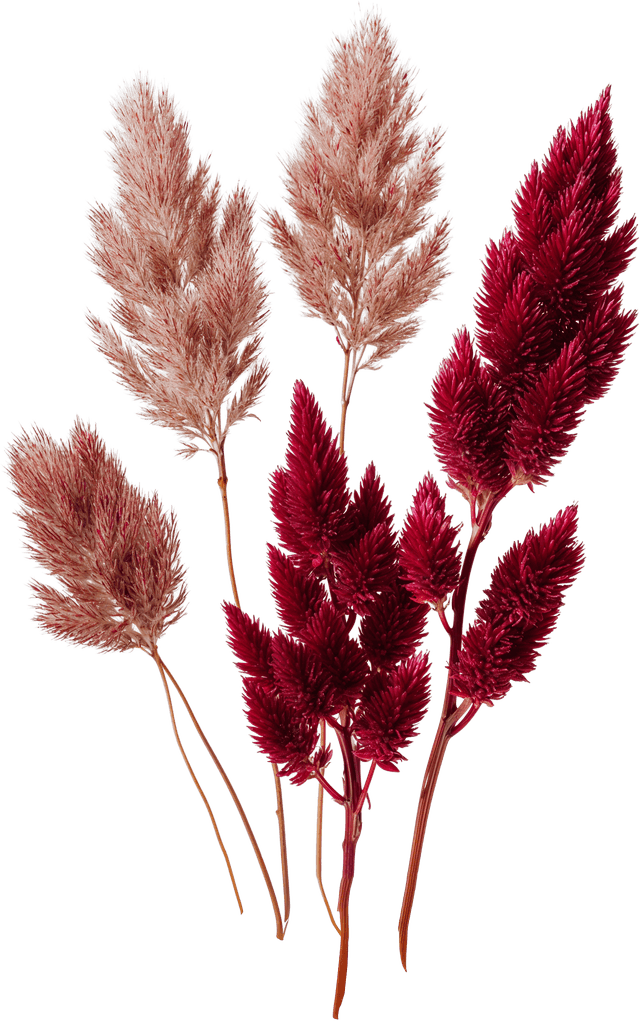 Изображение колосьев в цветах компании