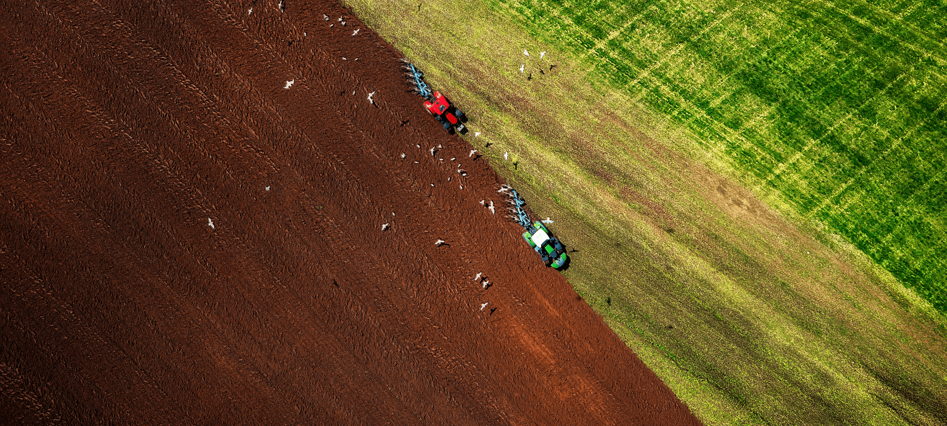 Главная картинка промо сельского хозяйства